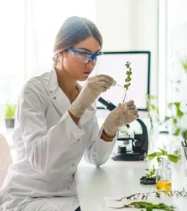 Laboratoire Ease Campus Strasbourg Laboratoire Ease Campus Strasbourg