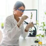 Laboratoire Ease Campus Strasbourg Laboratoire Ease Campus Strasbourg