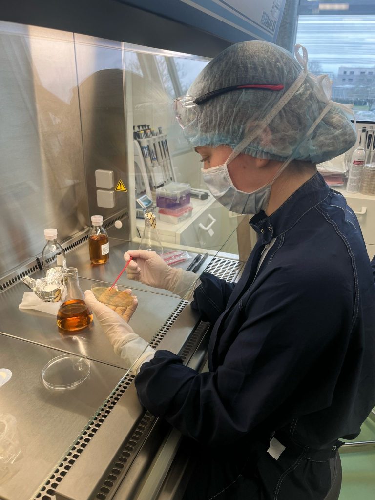 Étudiante récoltant les cultures issues de la fermentation