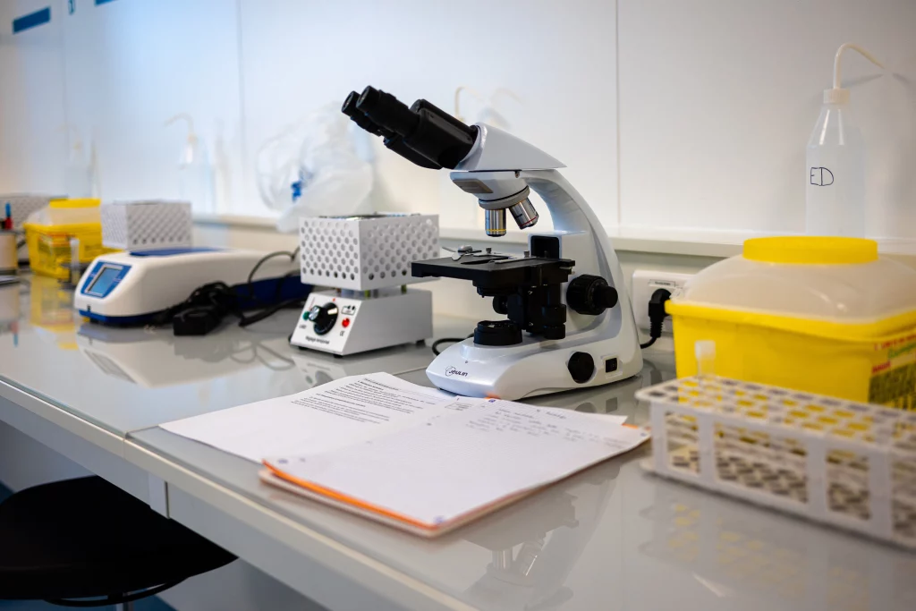 mise en pratique au microscope